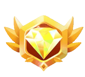 黄金VIP